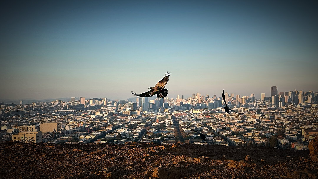 Bernal height, San Francisco