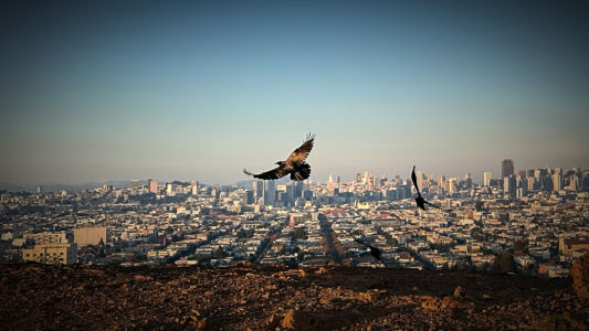 Bernal height, San Francisco