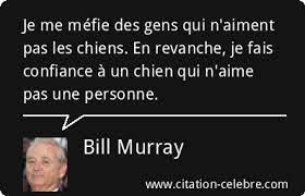 Citation Bill Murray confiance : Je me méfie des gens qui n'aiment pas les  chiens....